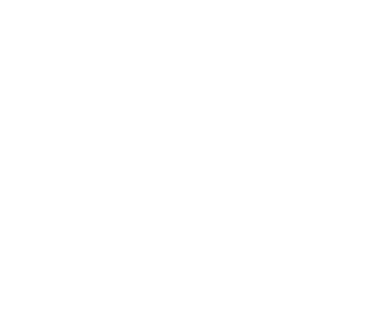 Da Vinci Systems